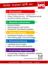kleines Wahlprogramm